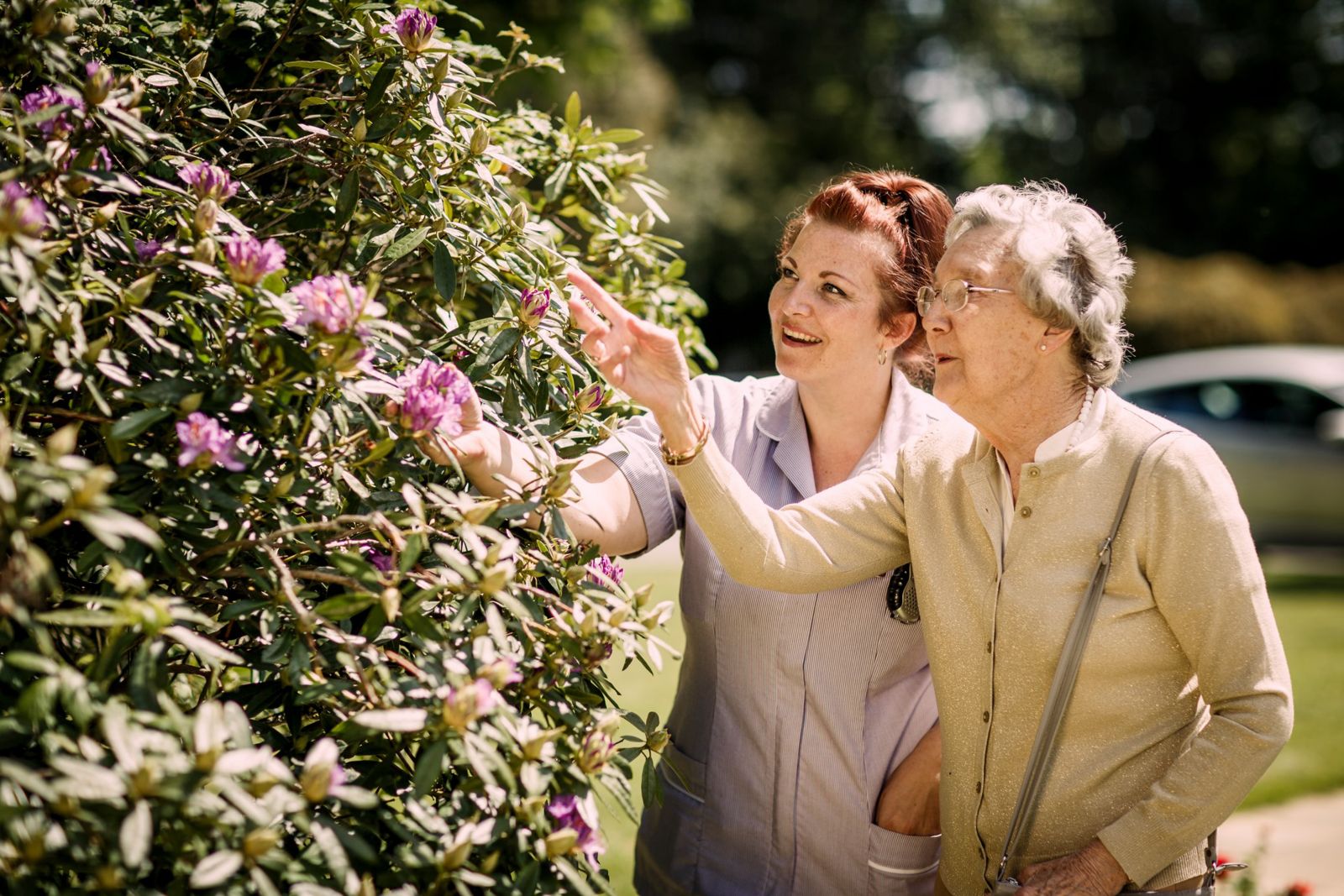 thumbnail Gold Care Homes