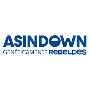 Logotipo de Fundación Asindown