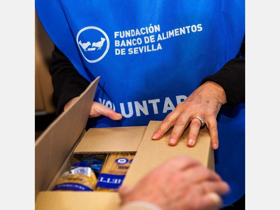 Imagen descriptiva de cabecera de la ONG Banco de Alimentos de Sevilla