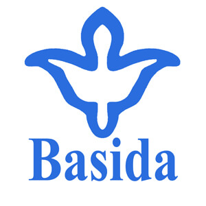 Logo de BASIDA