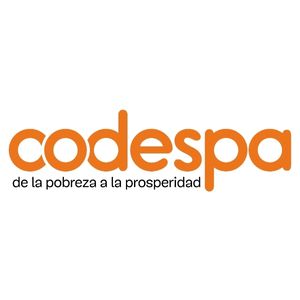 Logo de Fundación CODESPA