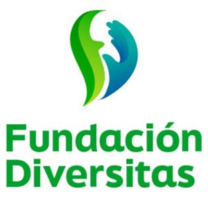 Logo de Fundación Diversitas
