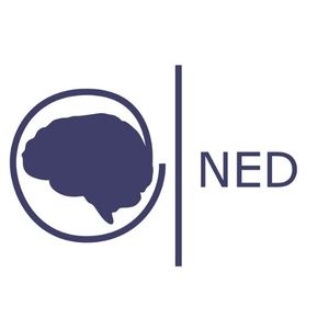 Logo de Fundación NED 