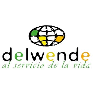 Logo de delwende