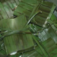 Cách Làm Bánh Bột Lọc Tôm Thịt Nấm Mèo | Đơn Giản