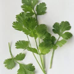 Cách làm Bánh Pa Tê Sô thơm béo đổi vị cho bữa sáng cả nhà