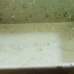 Cách làm Bánh Cam Sữa ngon miệng chiêu đãi cả nhà cuối tuần
