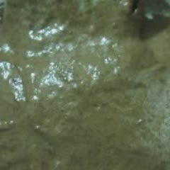 Cách làm bánh flan gato