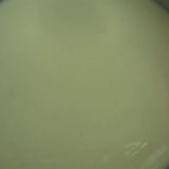 Cách làm bánh flan gato