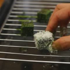 Cách Làm Bánh Matcha Lamington Đẹp Mắt Cho Mọi Bữa Tiệc