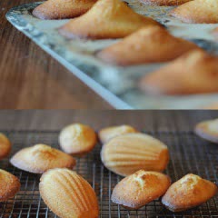 Cách Làm Bánh Sò Madeleine Đơn Giản, Ngon Đúng Vị