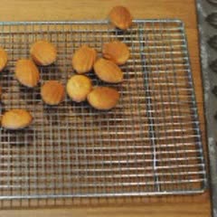 Cách Làm Bánh Sò Madeleine Đơn Giản, Ngon Đúng Vị