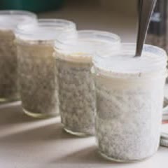 Cách làm pudding hạt chia vani