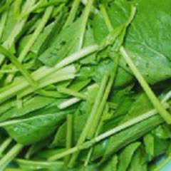 Cách Làm Phở Xào Thịt Bò hấp dẫn cho bữa cơm cuối tuần