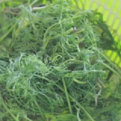 Cách Làm Canh Cá Chép Nấu Chua Cho Bữa Cơm Nhà