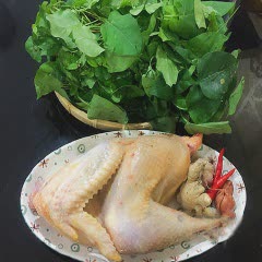 Cách làm canh gà lá giang chua ngon