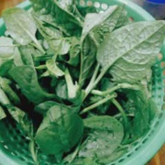 Cách làm Canh mồng tơi nấu ghẹ
