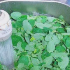 Cách Nấu Canh Rau Ngót Nấu Giò Viên Ngon Lạ Miệng