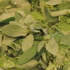 Cách Làm Canh Rau Ngót Nấu Tôm Thơm Ngon Hấp Dẫn