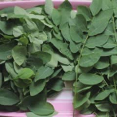 Cách Làm Canh Rau Ngót Nấu Tôm Thơm Ngon Hấp Dẫn
