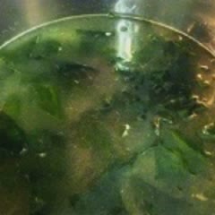 Cách làm canh rong biển kiểu Hàn