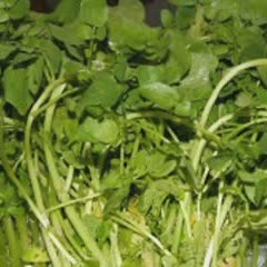 Cách Làm Canh Xà Lách Xoong Nấu Thịt Xay Thơm Ngon