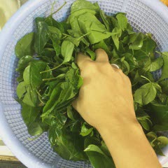 Cách làm trứng cá ngát nấu canh chua lá giang