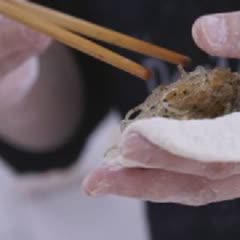 Cách Làm Bánh Bao Chay Nhân Mặn, Cho Bữa Ăn Sáng
