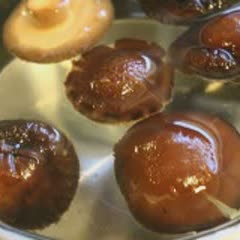 Cách làm lagu nấu chay