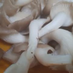 Cách Làm Nấm Bào Ngư Chiên Giòn Xốt Dầu Hào Chay
