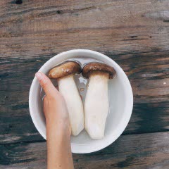 Cách làm Nấm đùi gà áp chảo sốt cay