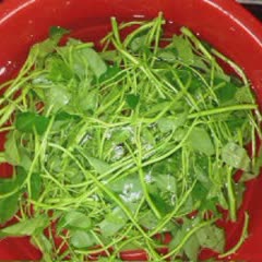 Cách Làm Rau Muống Xào Chao Trắng Thơm Ngon Ở Nhà