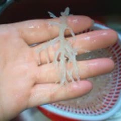 Cách làm chè đậu xanh nha đam rong biển