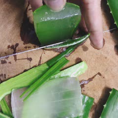 Cách làm Chè nha đam nấu hạt sen đậu xanh