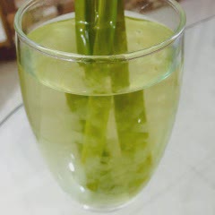 Cách làm nha đam đường phèn lá dứa