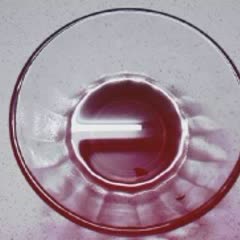 Cách Làm Cocktail Trái Cây Chua Ngọt Giải Nhiệt