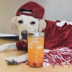 Cách làm Cocktail vàng