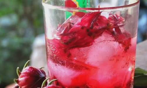 Cách Làm Mocktail Atiso Đỏ Đơn Giản Giải Nhiệt