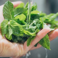 Cách làm mojito bưởi mát lạnh
