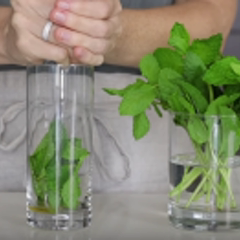 Cách làm Nước mojito chanh đơn giản