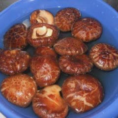 Cách nấu Lẩu Gà Đen với nấm đông cô bổ dưỡng, thơm ngon