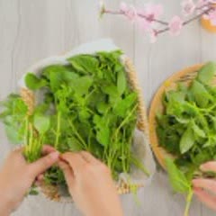 Cách Nấu Lẩu Gà Lá É | Đơn Giản, Ngon Đúng Điệu