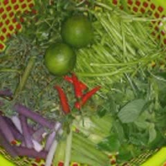 Cách nấu Lẩu Mắm cá linh miền Tây chuẩn vị ngon tại nhà
