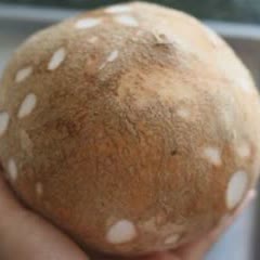 Cách làm mứt cùi dừa dẻo