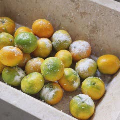 Cách làm quýt ngâm đường