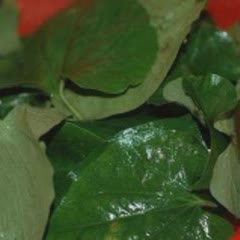 Cách làm chả lá lốt tôm thịt