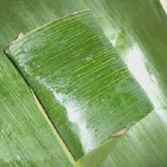 Cách Làm Nem Chua Gói Lá Vừa Ngon Vừa Đảm Bảo