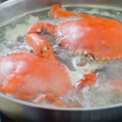 Cách Làm Nem Cua Bể Chuẩn Vị Đúng Kiểu Hải Phòng