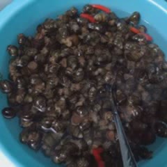 Cách Làm Ốc Hút Nấu Kiểu Miền Trung Ngon Đơn Giản