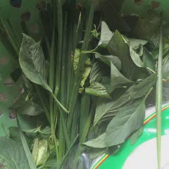 Cách làm gỏi cuốn thịt ba chỉ